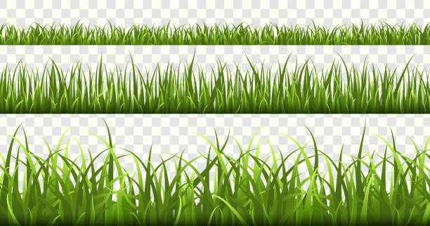 stockillustraties, clipart, cartoons en iconen met groene gras grenzen. voetbalveld, zomerweide groene natuur, panorama kruiden voorjaar macro-elementen, gazon gras geïsoleerde vector set - grass