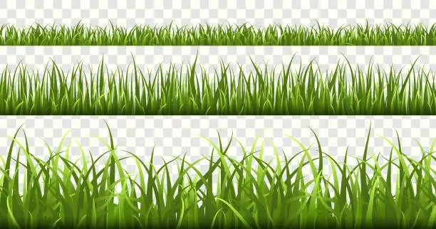 Vector illustration of Green grass borders. Football field, summer meadow green nature, panorama herbs spring macro elements, lawn grass isolated vector set