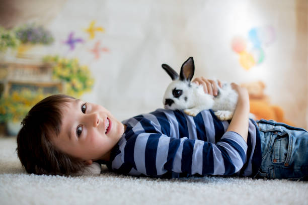 симпатичный маленький мальчик малыш, одетый умный случайный, играя с маленьким черно-белым кроликом - rabbit child pets little boys стоковые фото и изображения