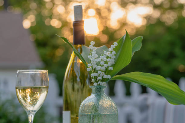 Glass of wine in the backyard Relaxing in the backyard with a glass of wine on a warm evening golden hour drink stock pictures, royalty-free photos & images