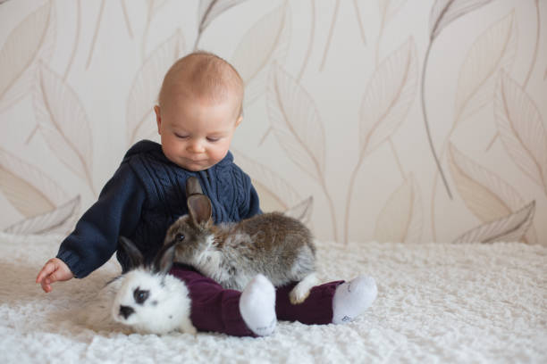 istock Cute little baby boy, playing with pet rabbits at home 1141529521