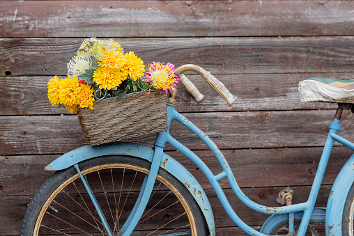 Vintage blue bike with basket of flowers on wood background