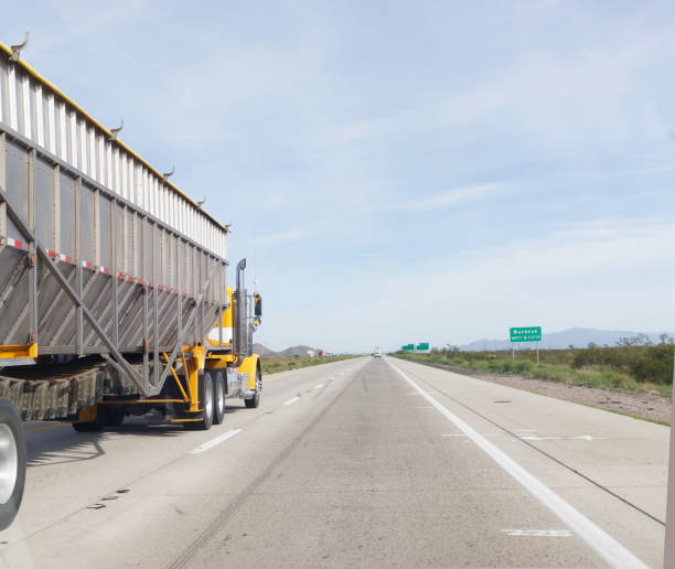 istock Shipping Semi and Trailer on Highway 1141529688