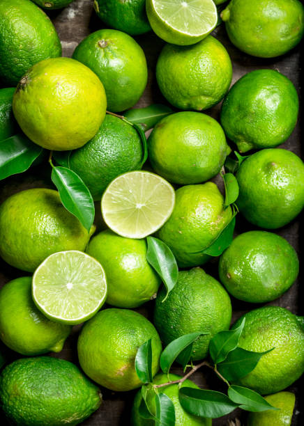 fresh juicy lime with leaves. - lime green imagens e fotografias de stock