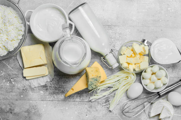 istock huge range of dairy products. 1141534145