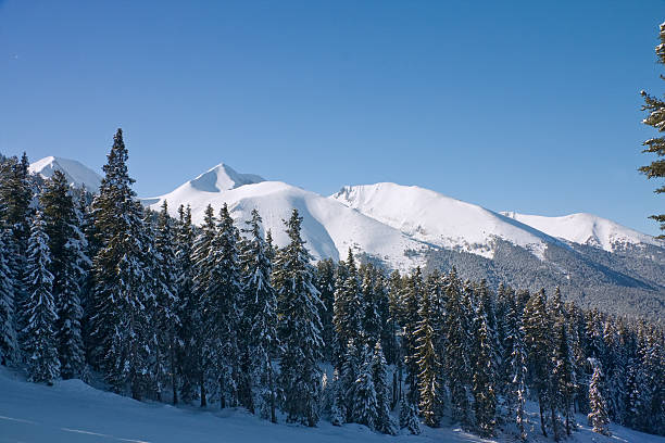 istock Winter mountains landscape. Bulgaria, Bansko 114153433