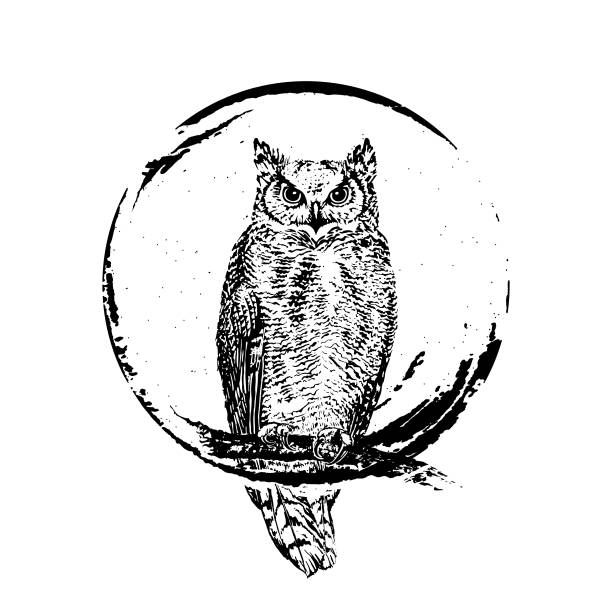 Owl on round grunge background. Hand drawn vector illustration. Retro old style. Black and  White Graphic. The Vector logo owl for T-shirt design or outwear. Hunting tattoo owl style background. owl illustrations stock illustrations