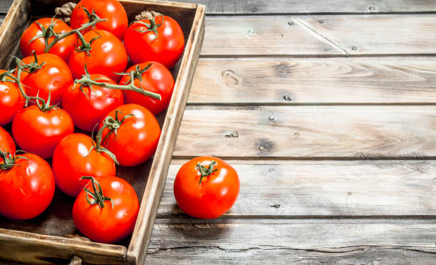 istock Ripe tomatoes on tray. 1141535887