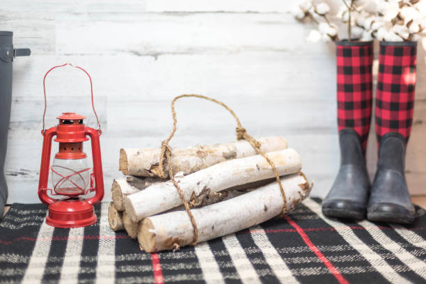Winter boots and birch logs still life