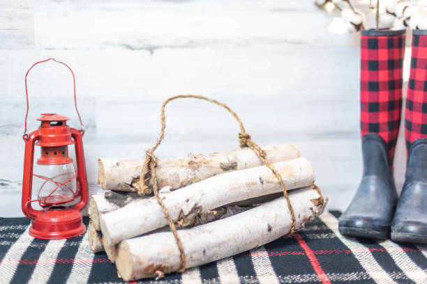 istock Winter home interior background with birch logs and boots 1141535906