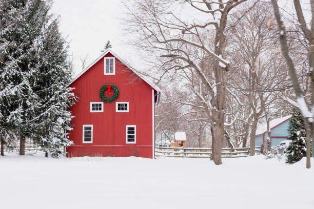 Red barn in the snow - rural winter scene Red barn with Christmas wreath on snowy midwestern day barn stock pictures, royalty-free photos & images