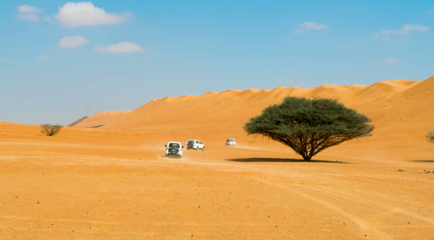 istock View of cars and tree, Oman 1141536273