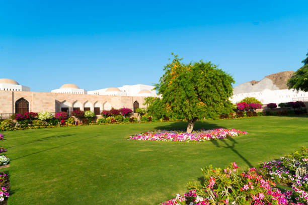 istock View of sultan palace, Oman 1141536646