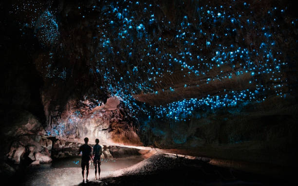 Under a glow worm sky - couple shining a light into Waipu cave filled will glow worms Under a glow worm sky - couple shining a light into Waipu cave filled will glow worms cave stock pictures, royalty-free photos & images