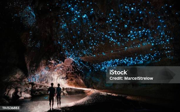 Under A Glow Worm Sky Couple Shining A Light Into Waipu Cave Filled Will Glow Worms Stock Photo - Download Image Now