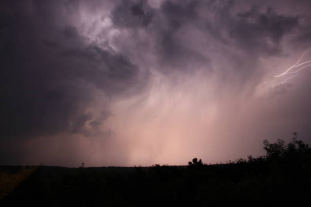 windy lightning storm por andrea lawrence c 1020377 saskatchewan - saskatchewan sky rain cloud - fotografias e filmes do acervo