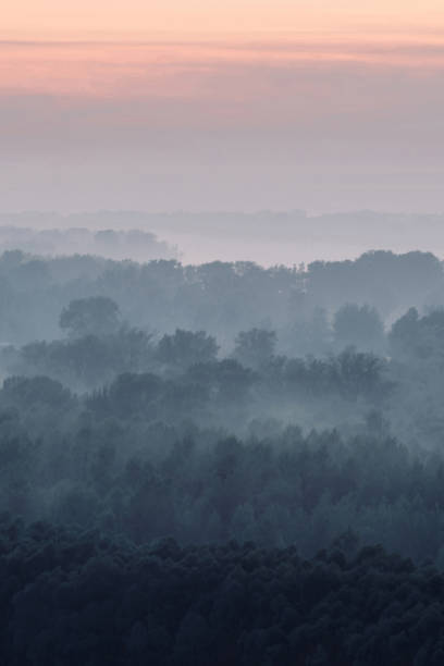 Mystical view on forest under haze at early morning. Eerie mist among layers from tree silhouettes in taiga under predawn sky. Atmospheric minimalistic landscape of majestic nature in faded blue tones vista mística en el bosque bajo la neblina a primera hora de la mañana. niebla inquietante entre capas de siluetas de árboles en taiga bajo el cielo preamanecer. paisaje atmosférico minimalista de naturaleza majestuosa en tonos azules descoloridos