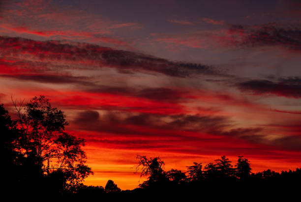 istock Dramatic sunset with pink and purple clouds and a blue sky 1141540464