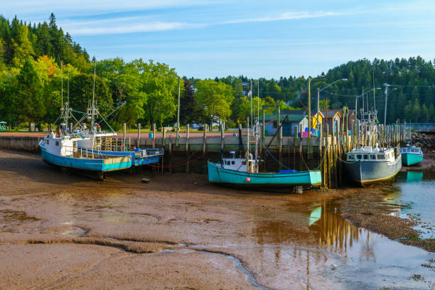 istock Harbor at low tide, in St. Martins 1141541879