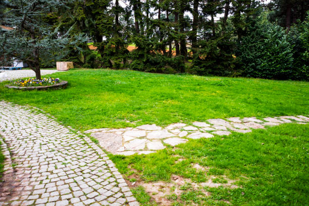 Photo of Cobblestone garden path