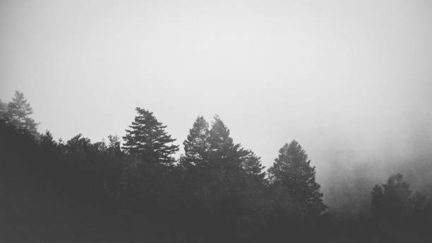 istock Majestic Mountain Silhouette 1141546467