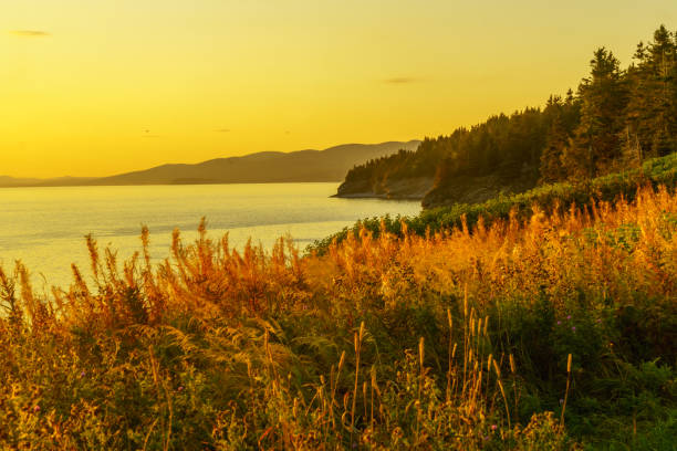 istock Sunset in Forillon National Park 1141546605