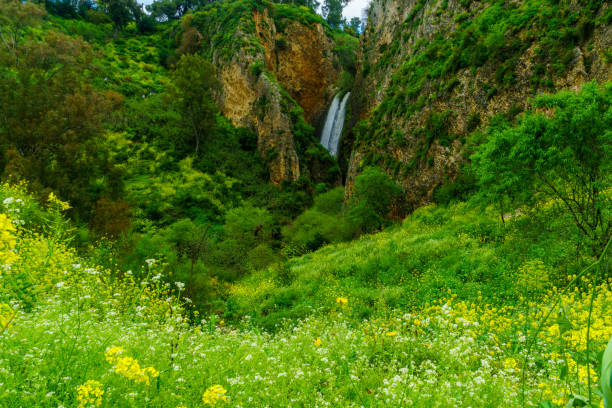 Ayun Valley nature reserve, and the Tanur waterfall