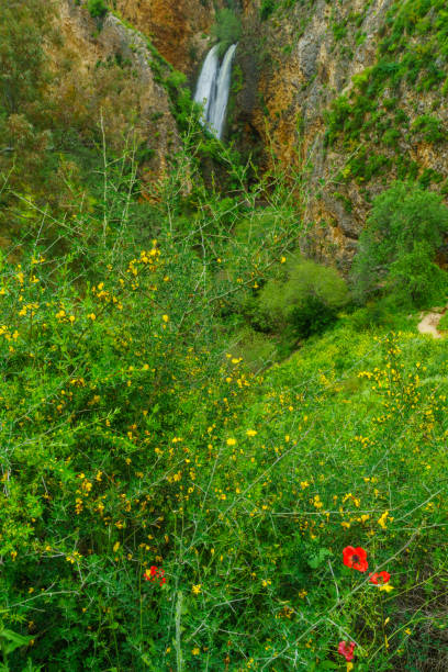 istock Ayun Valley nature reserve, and the Tanur waterfall 1141549693
