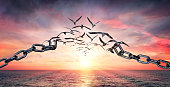 on-the-wings-of-freedom-birds-flying-and