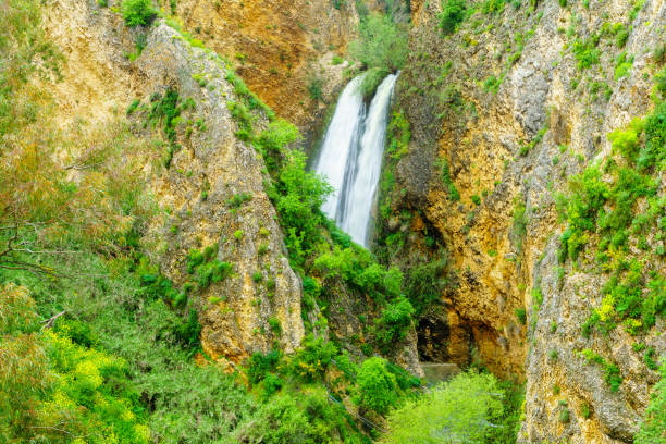 istock Ayun Valley nature reserve, and the Tanur waterfall 1141549742