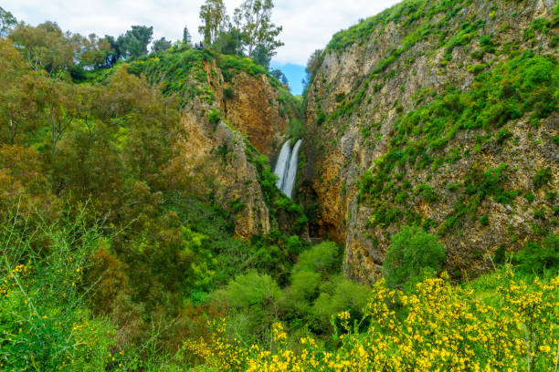 istock Ayun Valley nature reserve, and the Tanur waterfall 1141549874