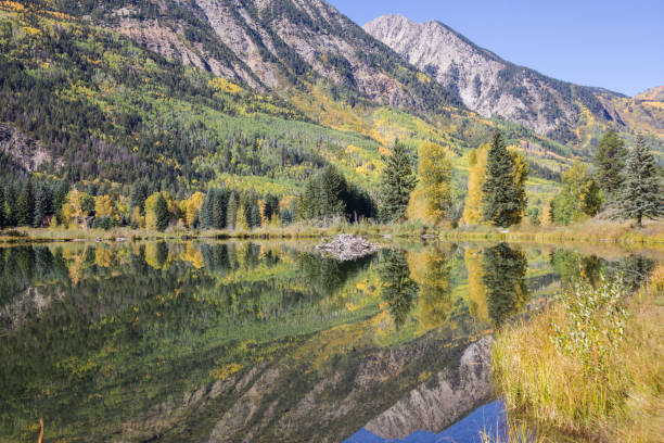 istock Lake with beaver lodge 1141550644