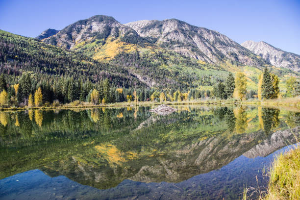 istock Lake with beaver lodge 1141550673