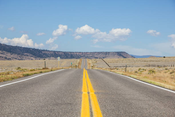 istock Straight road in desert 1141550863