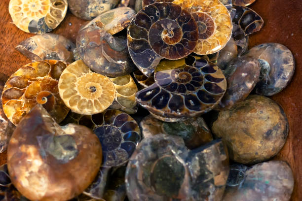 istock Precious and semiprecious mineral stones 1141552175
