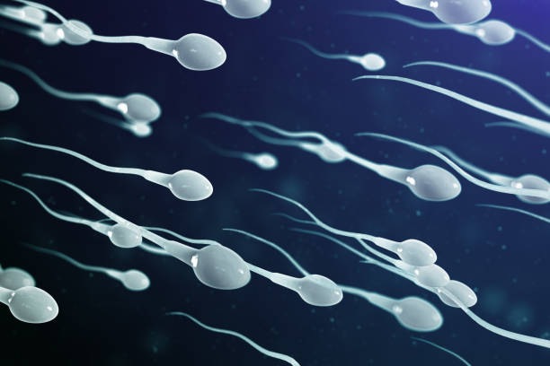 3D illustration sperm approaching egg cell, ovum. Natural fertilization - close-up view. Conception, the beginning of a new life. Sperm under the microscope, movement sperm stock photo