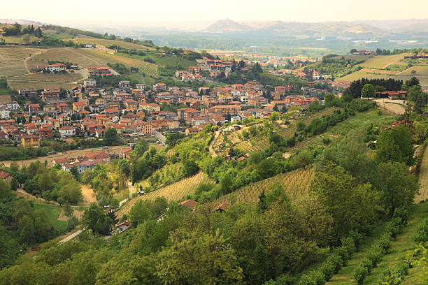 istock Aerial view on small town among hills. 114155582