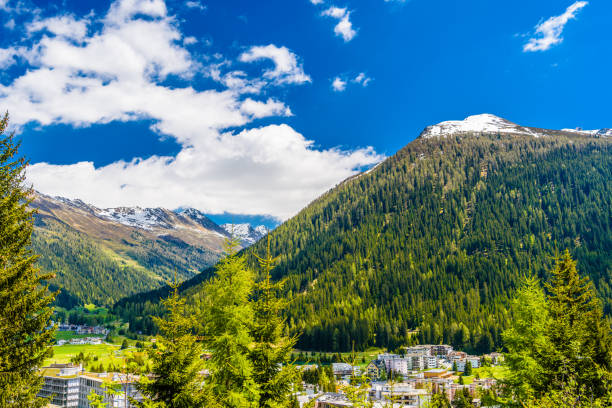istock Alps Mountains covered with pine forest, Davos,  Graubuenden, Sw 1141558964