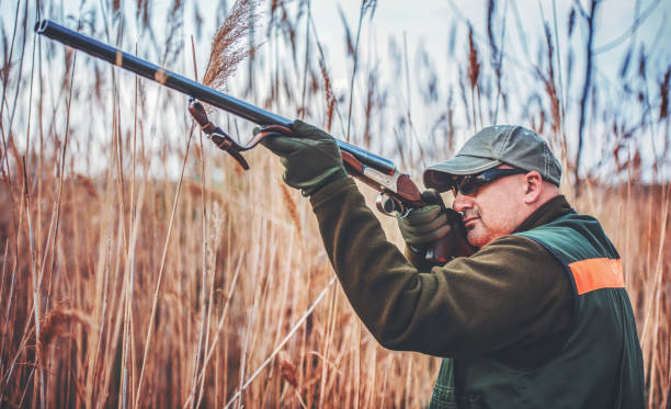 istock Hunter with a rifle in hunting 1141560037
