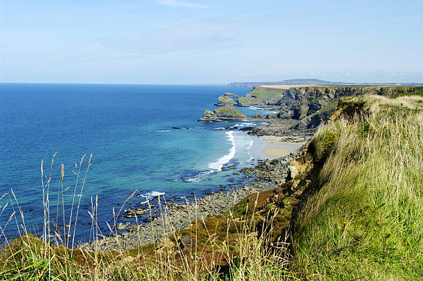 Seagulls and Cliffs at Tintagel, Atlantic coast of Cornwall.
