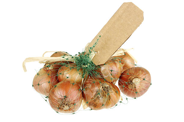 schalotten in netzgewebe tasche - onion bag netting vegetable stock-fotos und bilder