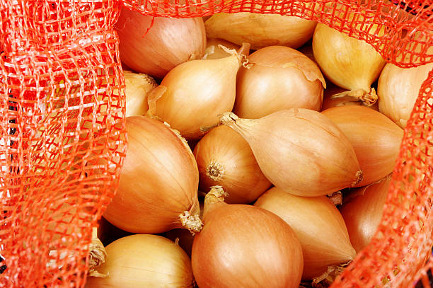 zwiebeln in netzgewebe tasche - onion bag netting vegetable stock-fotos und bilder