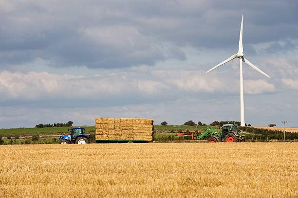 A tractor with a trailer loaded with hay bales standing on a field under grey skies, with forest in the background