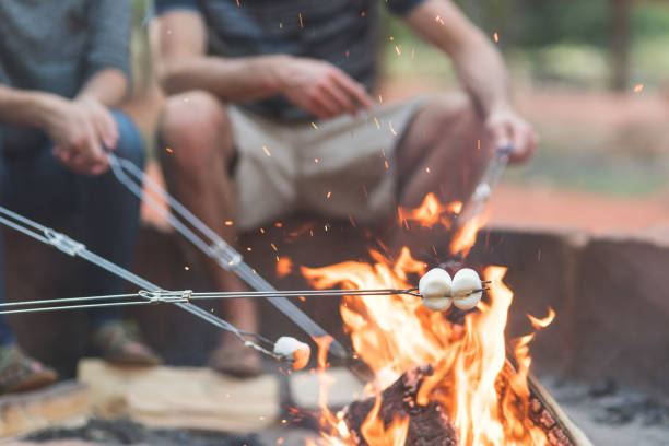 istock Smores by the campfire 1141568804