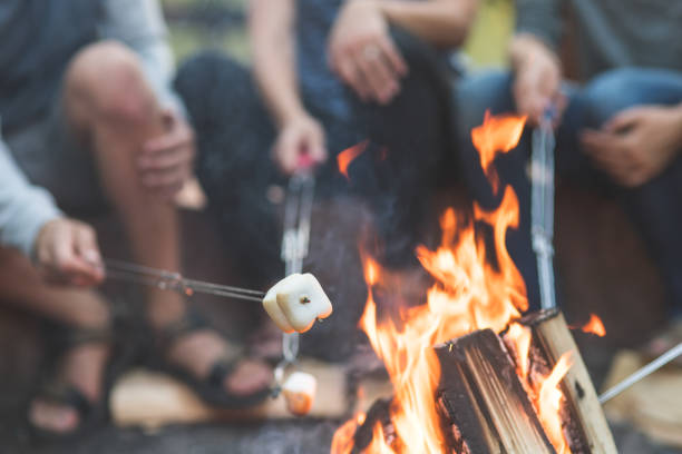 Smores by the campfire Close-up shot of a campfire with four metal skewers roasting marshmallows on a summer evening. smore photos stock pictures, royalty-free photos & images