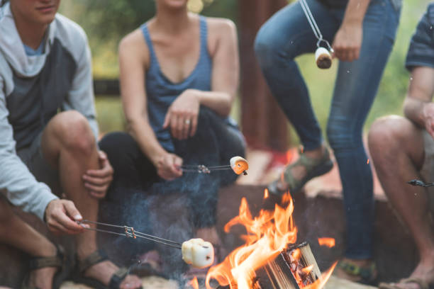 istock Smores by the campfire 1141568808