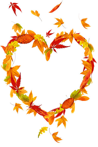 Autumn. Leaf in the hands of girls. One red autumn leaf in the hands of girls. In the palm of an autumn leaf. Hands in the form of hearts