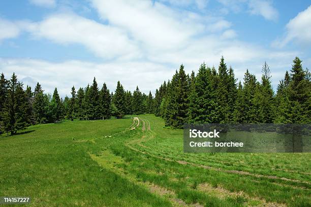 Wiejski Krajobraz - zdjęcia stockowe i więcej obrazów Lasek - Lasek, Drzewo, Las