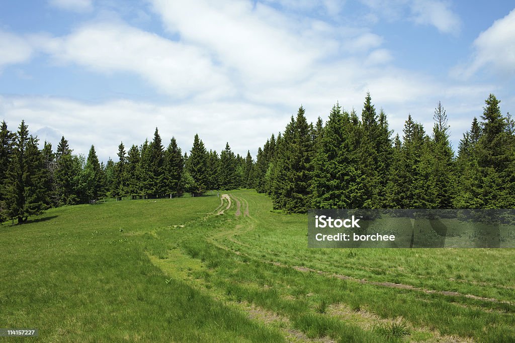 Сельский пейзаж - Стоковые фото Редкий лес роялти-фри