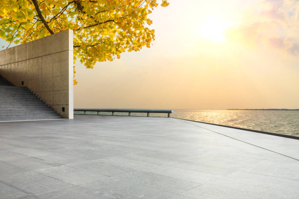 istock Empty floors and river with yellow ginkgo background 1141575013